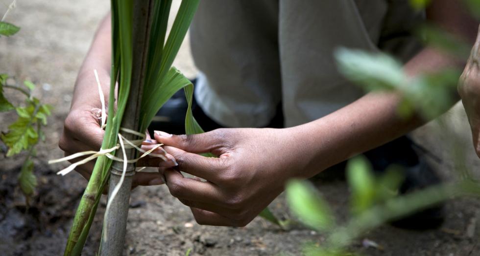 Parcours Agroécologie