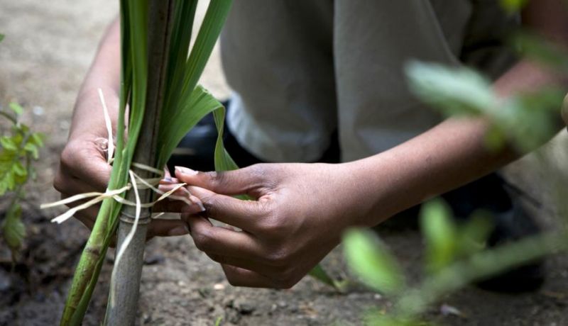 Parcours Agroécologie